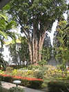 Thai Garden Resort 
